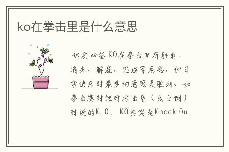 ko在拳击里是什么意思