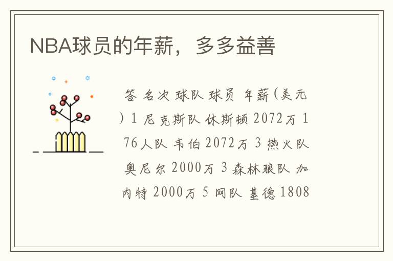 NBA球员的年薪,多多益善
