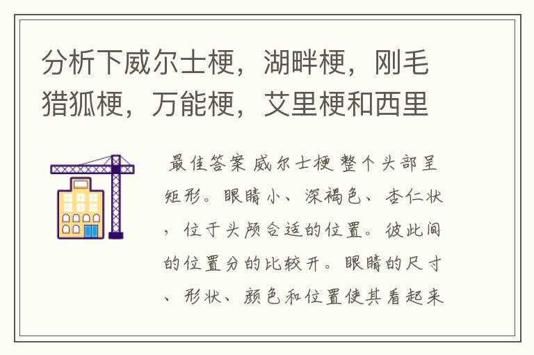 分析下威尔士梗,湖畔梗,刚毛猎狐梗,万能梗,艾里梗和西里汉梗的区别。