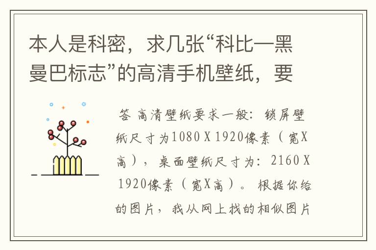 本人是科密，求几张“科比—黑曼巴标志”的高清手机壁纸，要能全屏显示的，我在下面附了3张图，1张是原