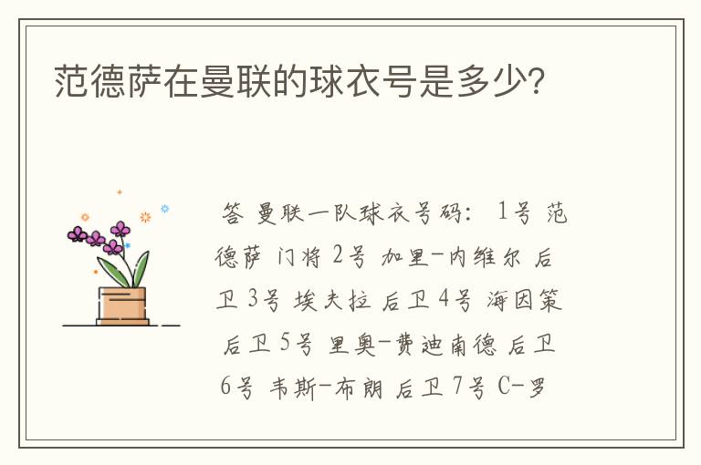 范德萨在曼联的球衣号是多少?