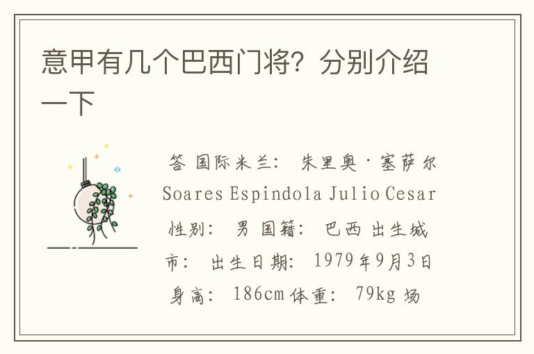 意甲有几个巴西门将?分别介绍一下
