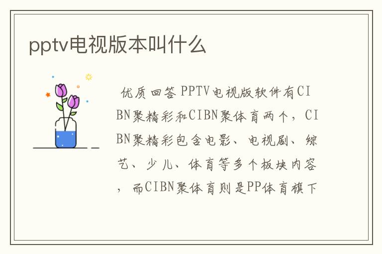 pptv电视版本叫什么