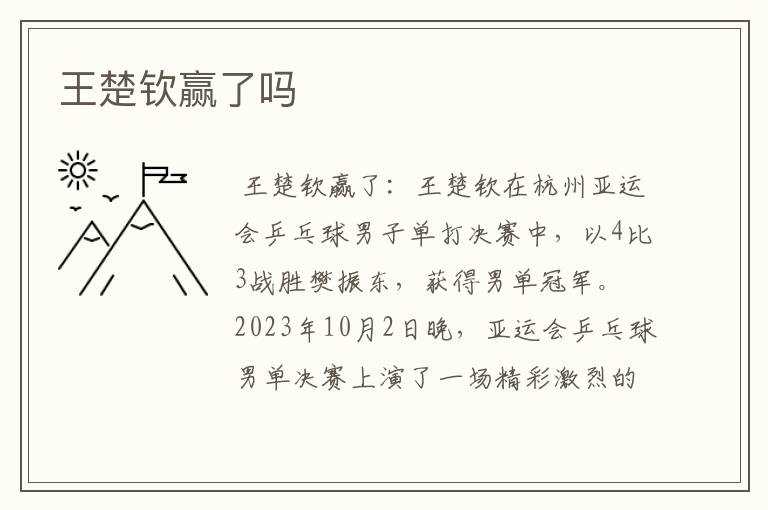 王楚钦赢了吗