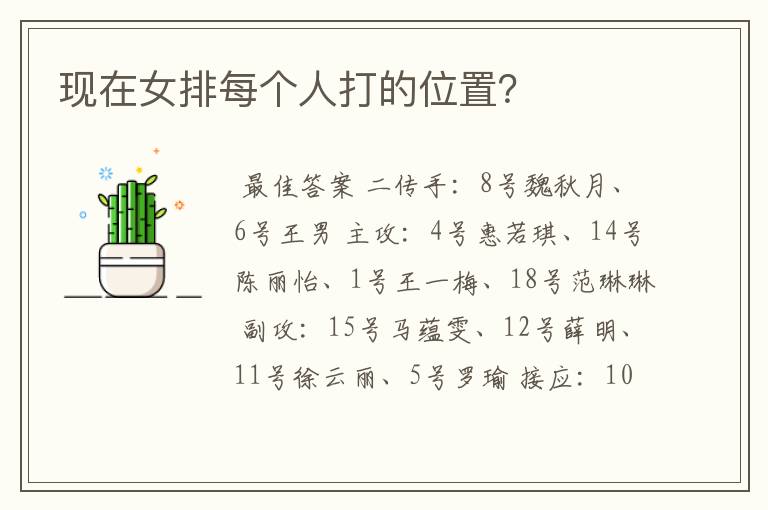 现在女排每个人打的位置?