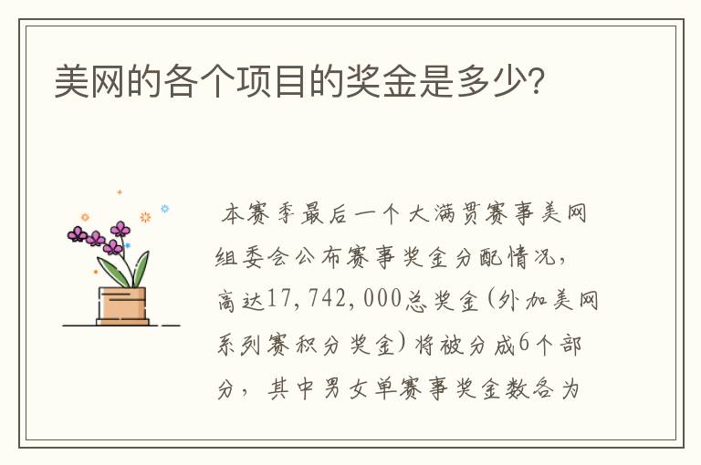美网的各个项目的奖金是多少?