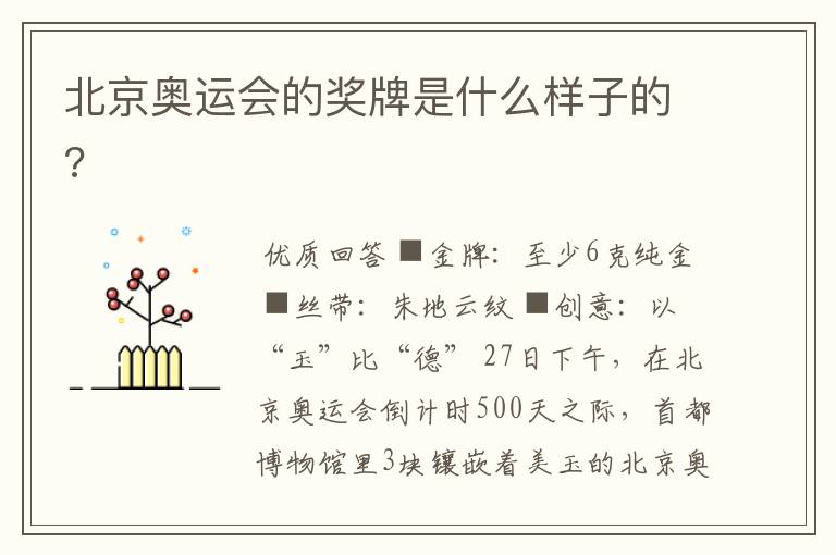 北京奥运会的奖牌是什么样子的?