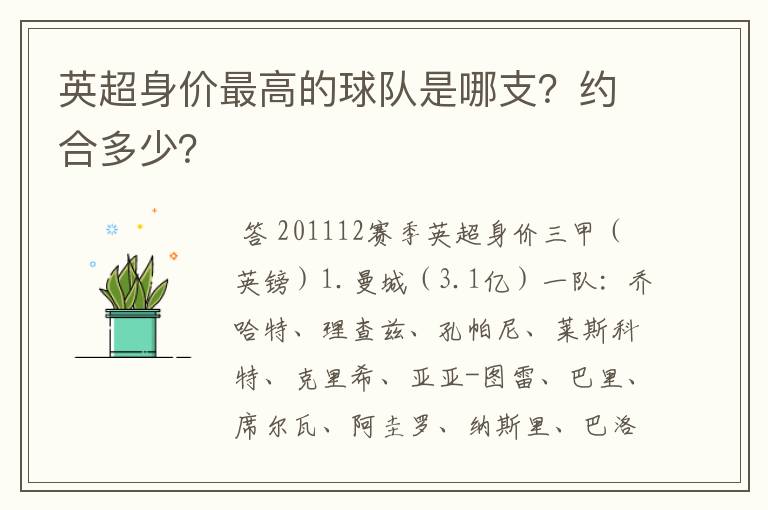 英超身价最高的球队是哪支?约合多少?