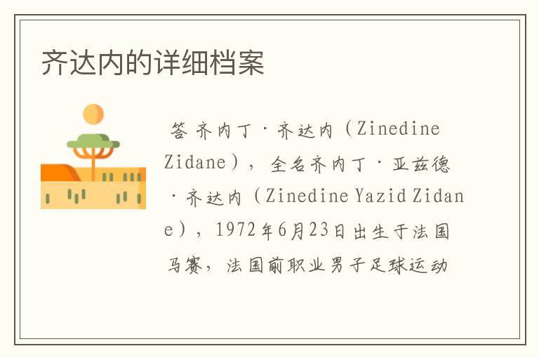 齐达内的详细档案