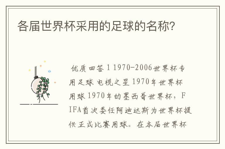 各届世界杯采用的足球的名称?