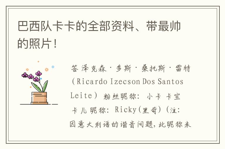 巴西队卡卡的全部资料、带最帅的照片!