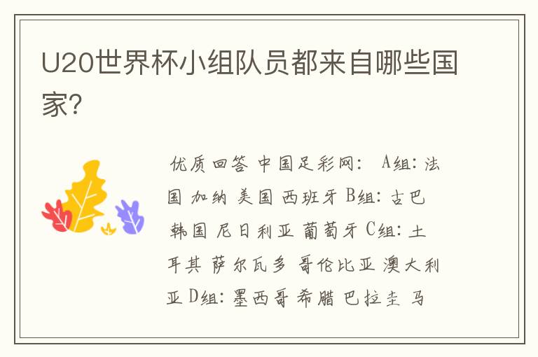 U20世界杯小组队员都来自哪些国家?