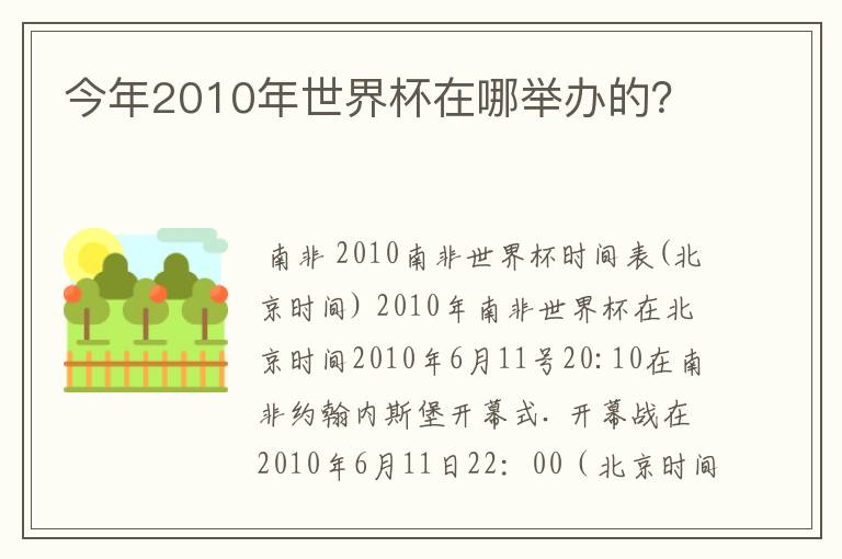 今年2010年世界杯在哪举办的?