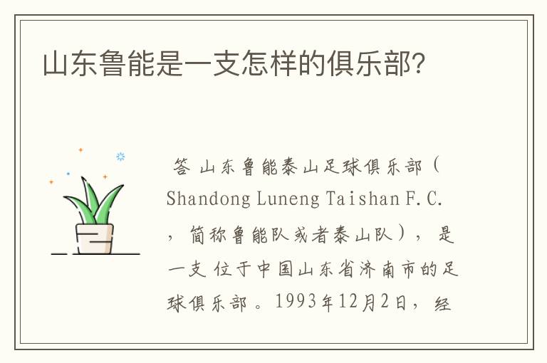 山东鲁能是一支怎样的俱乐部?