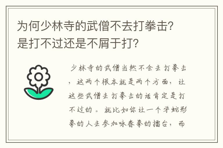 为何少林寺的武僧不去打拳击?是打不过还是不屑于打?