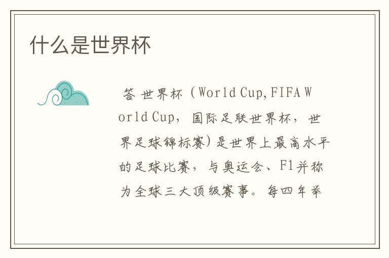 什么是世界杯
