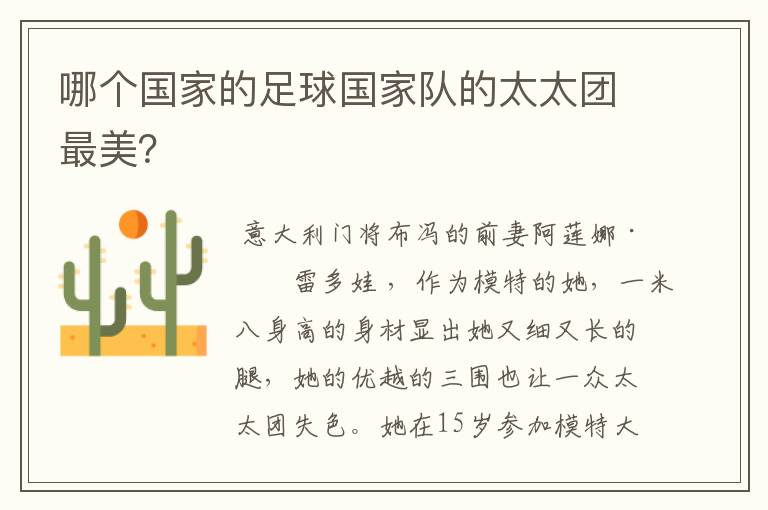 哪个国家的足球国家队的太太团最美?