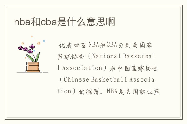 nba和cba是什么意思啊
