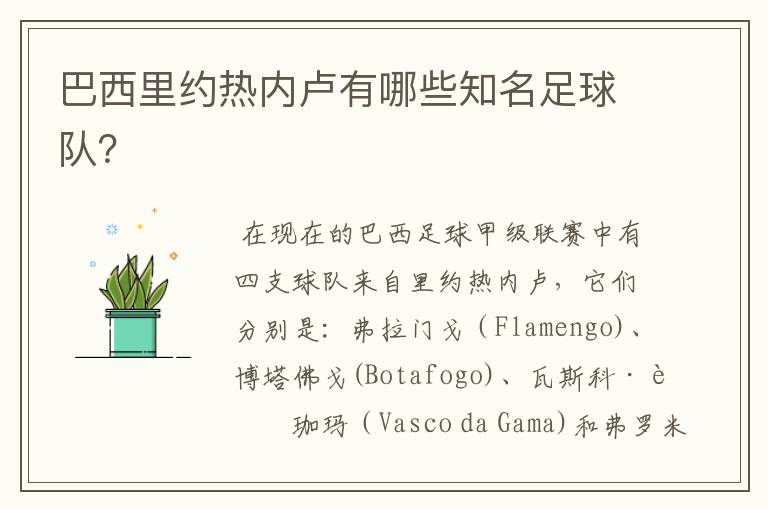 巴西里约热内卢有哪些知名足球队?