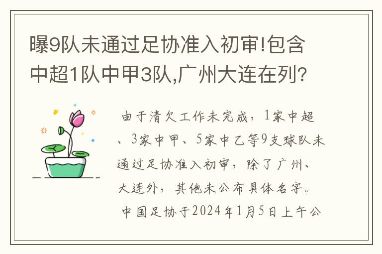 曝9队未通过足协准入初审!包含中超1队中甲3队,广州大连在列?