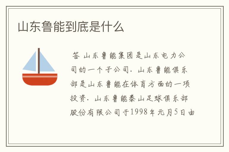 山东鲁能到底是什么