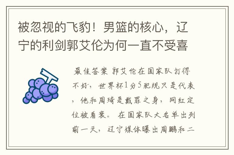 被忽视的飞豹!男篮的核心,辽宁的利剑郭艾伦为何一直不受喜欢?