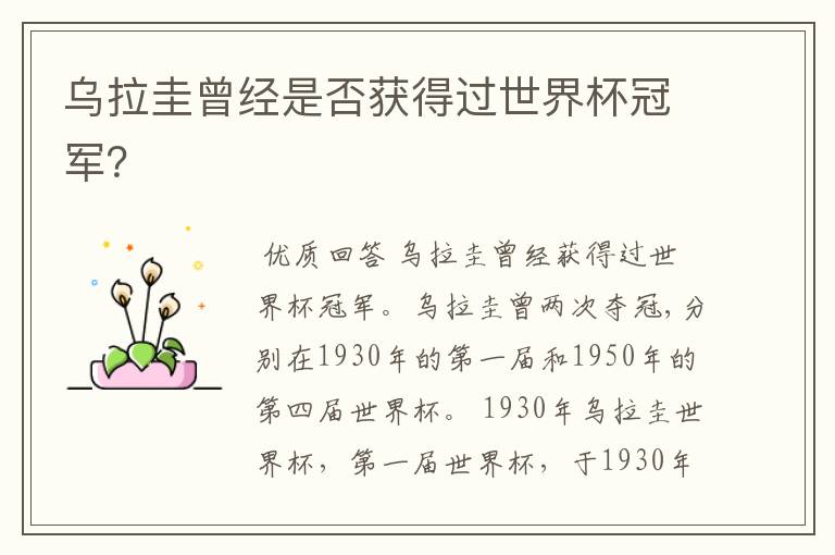 乌拉圭曾经是否获得过世界杯冠军?