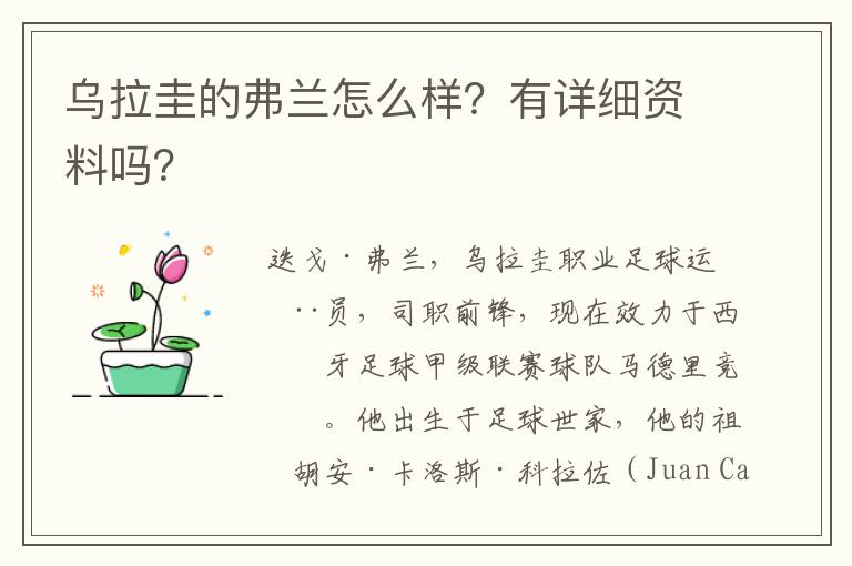 乌拉圭的弗兰怎么样?有详细资料吗?