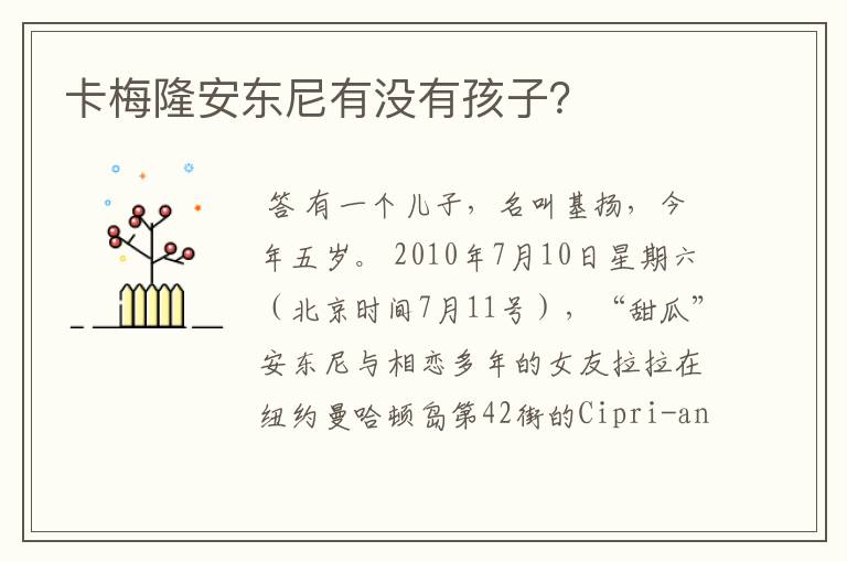 卡梅隆安东尼有没有孩子?