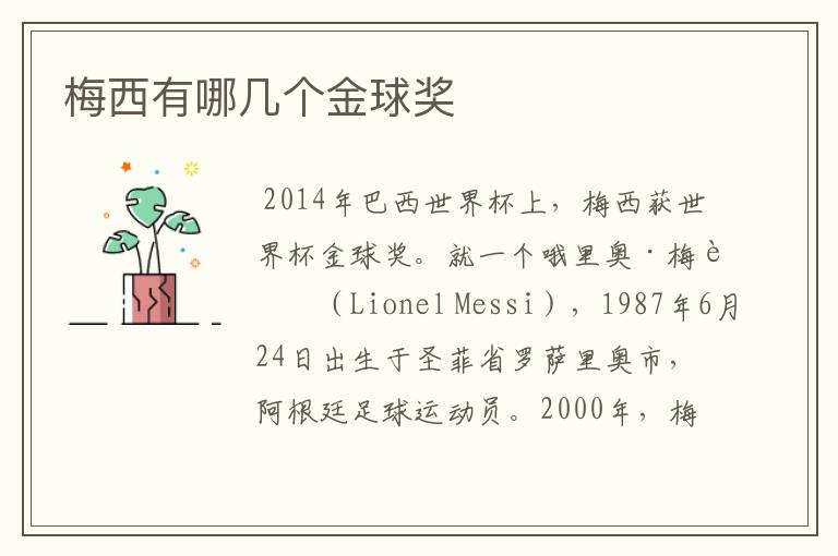 梅西有哪几个金球奖
