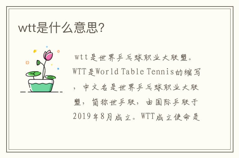 wtt是什么意思？