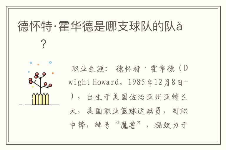 德怀特·霍华德是哪支球队的队员?