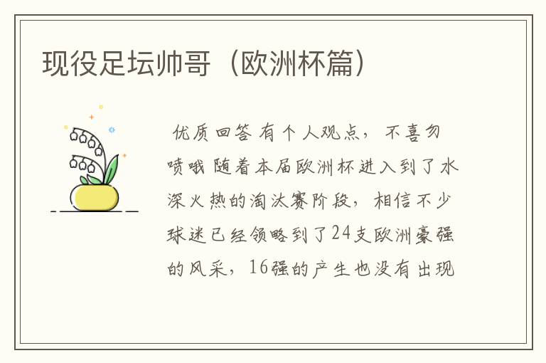 现役足坛帅哥(欧洲杯篇)