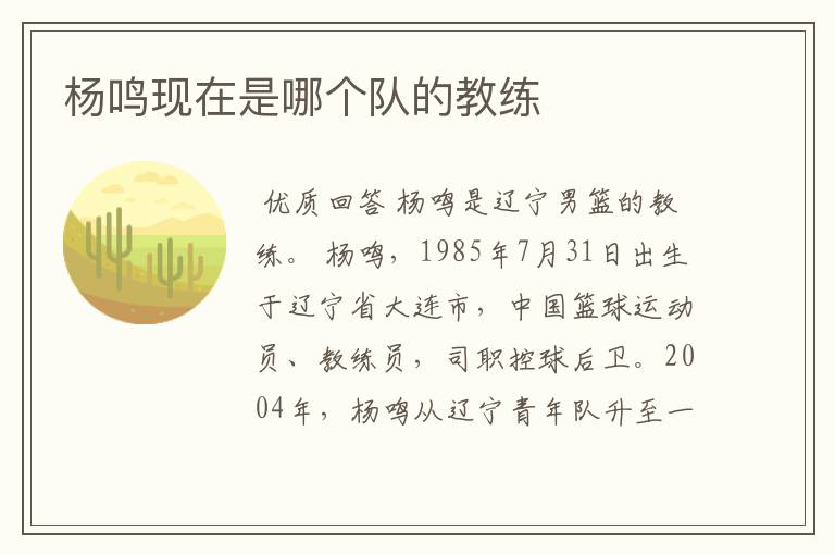 杨鸣现在是哪个队的教练