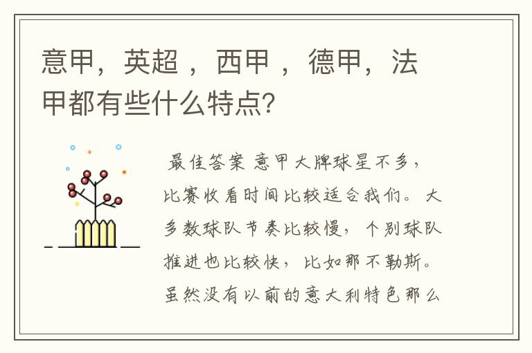 意甲,英超 ,西甲 ,德甲,法甲都有些什么特点?