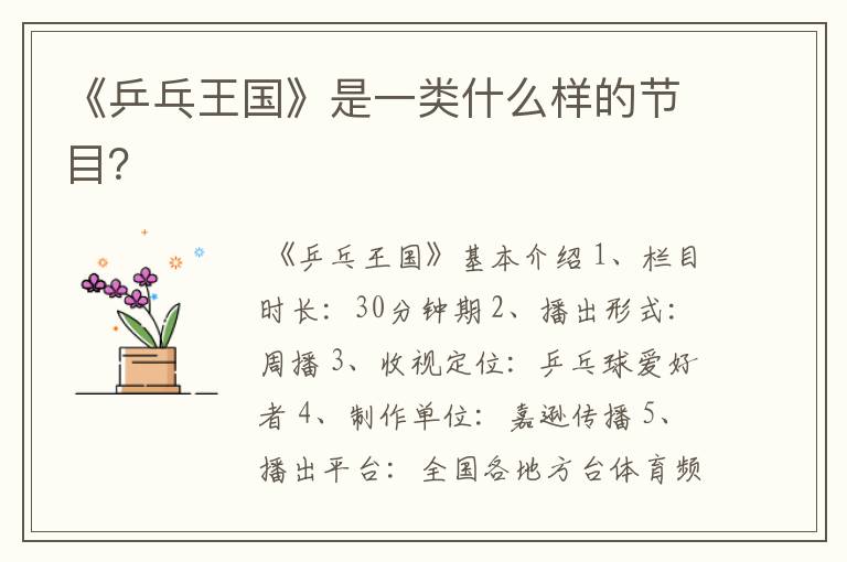 《乒乓王国》是一类什么样的节目?