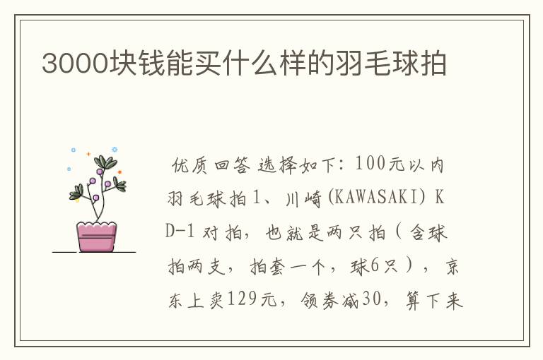3000块钱能买什么样的羽毛球拍