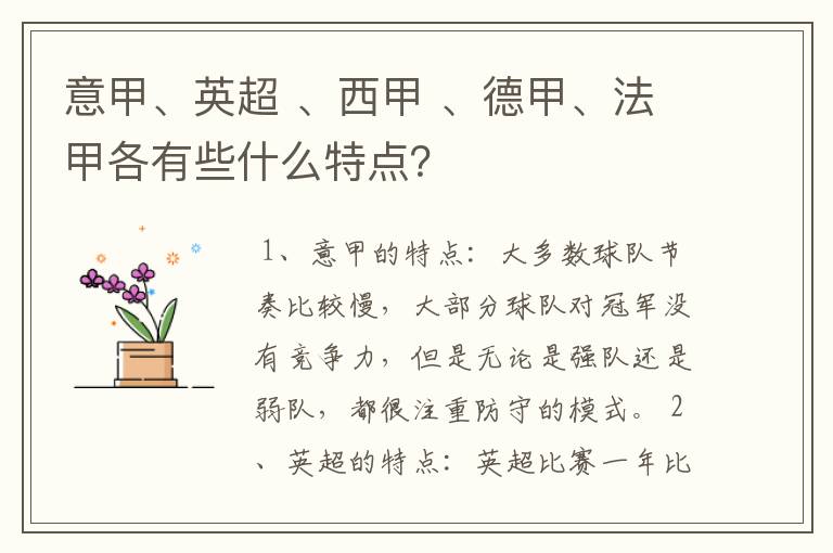 意甲、英超 、西甲 、德甲、法甲各有些什么特点?