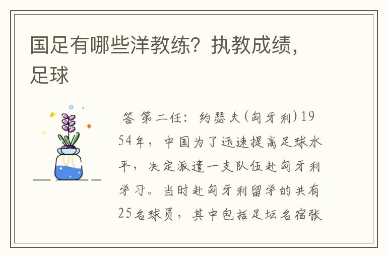 国足有哪些洋教练?执教成绩,足球