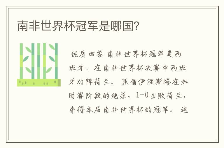 南非世界杯冠军是哪国?