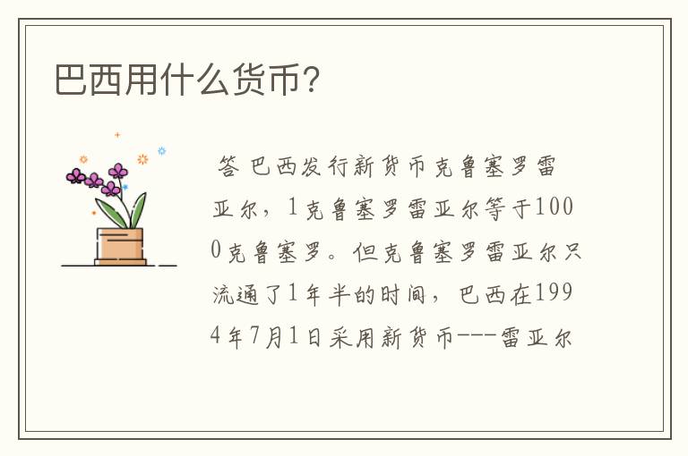 巴西用什么货币?