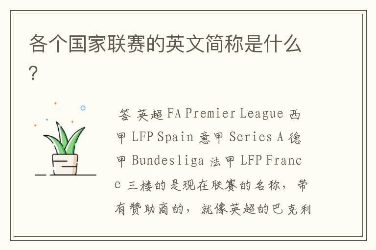 各个国家联赛的英文简称是什么?