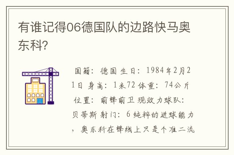 有谁记得06德国队的边路快马奥东科?