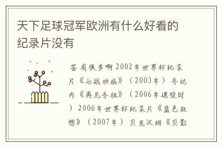 天下足球冠军欧洲有什么好看的纪录片没有
