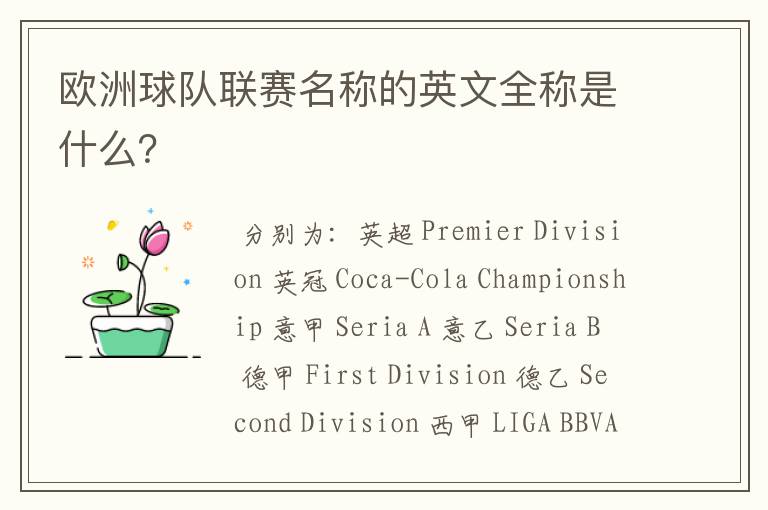 欧洲球队联赛名称的英文全称是什么?