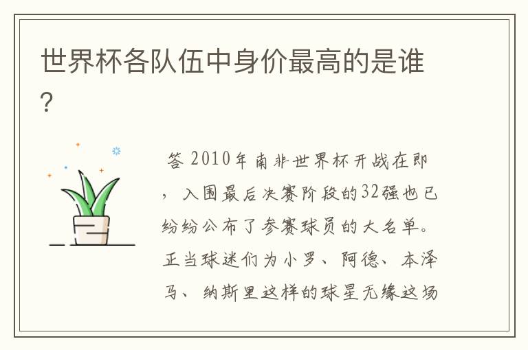 世界杯各队伍中身价最高的是谁?