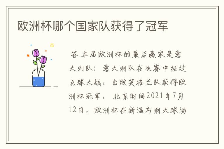 欧洲杯哪个国家队获得了冠军