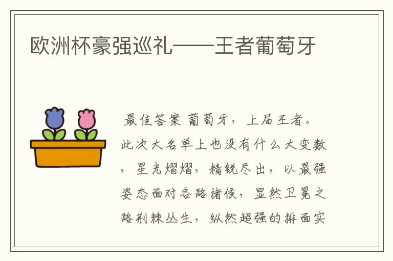 欧洲杯豪强巡礼——王者葡萄牙