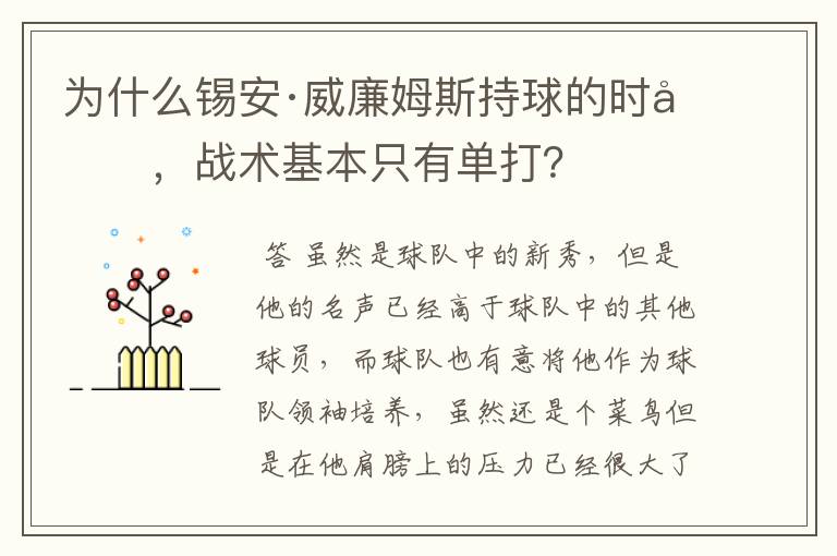 为什么锡安·威廉姆斯持球的时候,战术基本只有单打?