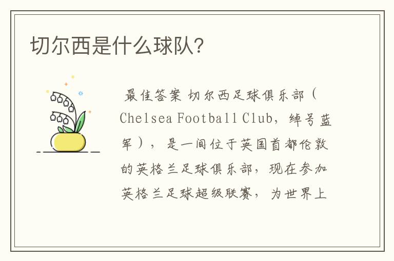切尔西是什么球队?